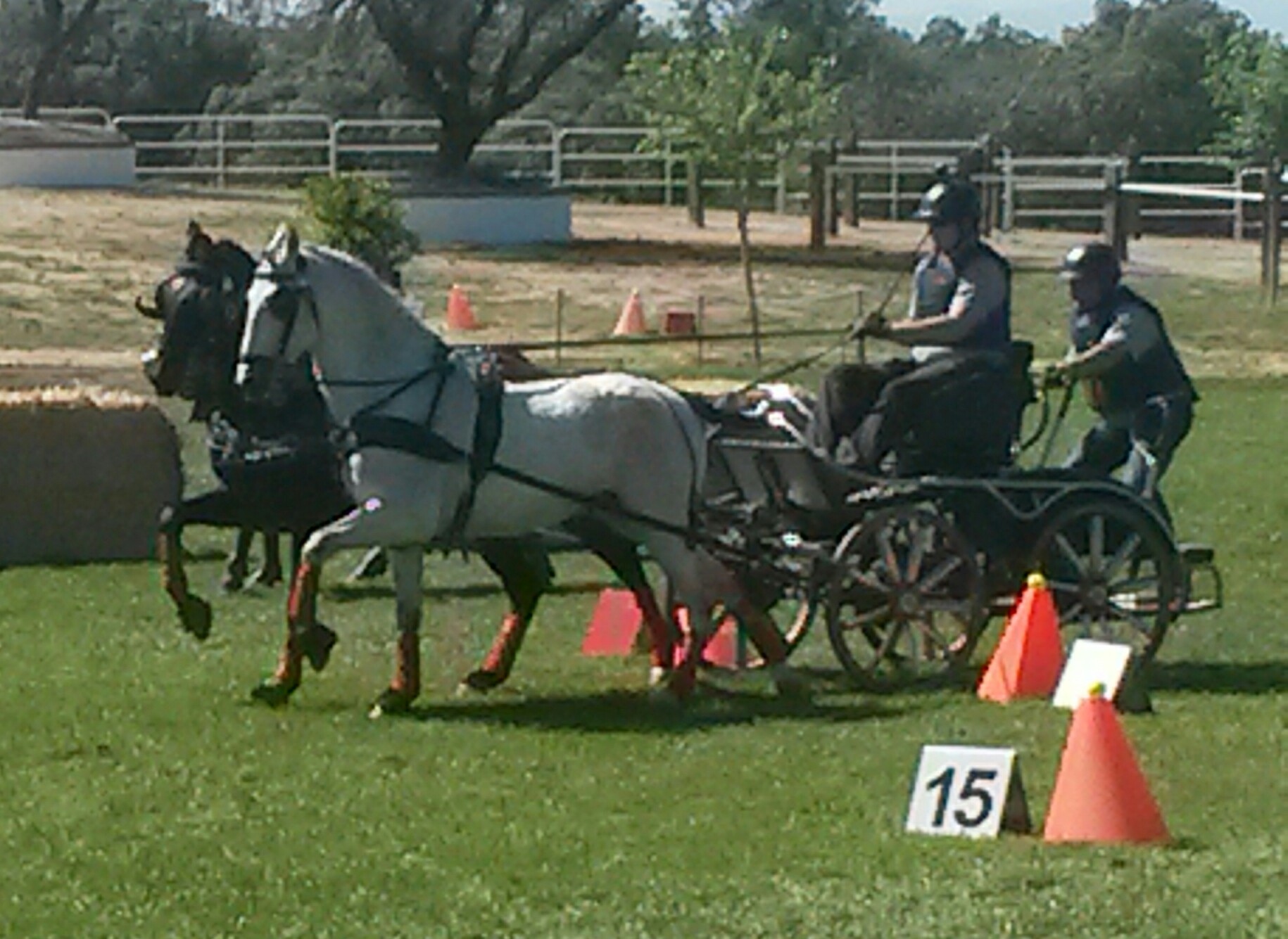 El equipo navarro de enganches destacó en el concurso Indoor finca el Quemado en Arenas de San Pedro (Ávila)